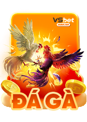 đá gà vsbet