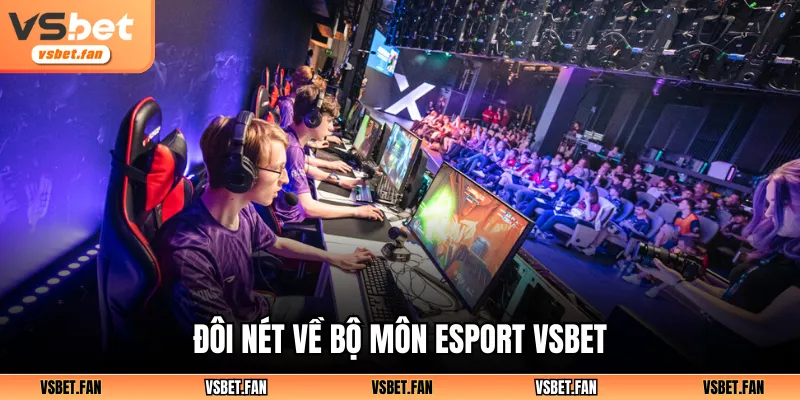 Đôi nét về bộ môn Esport VSBET