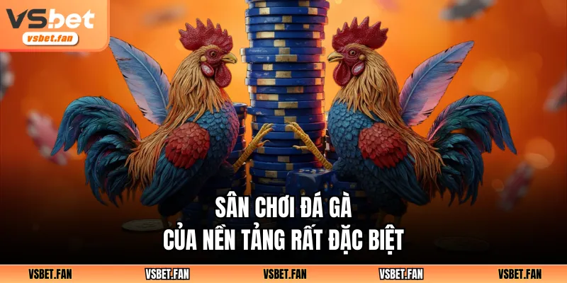 Sân chơi đá gà của nền tảng rất đặc biệt