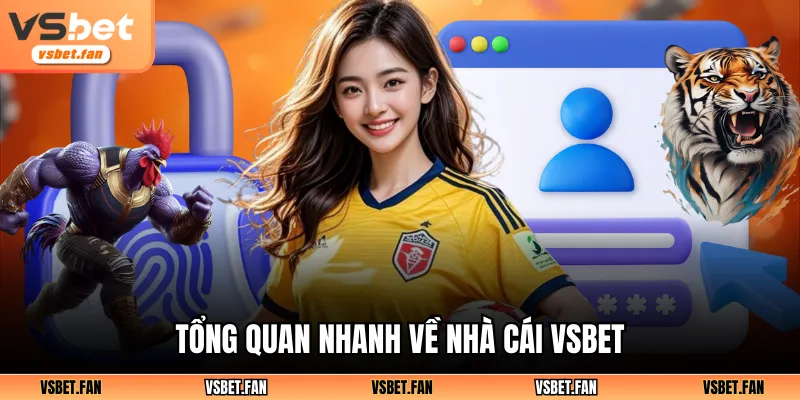 Tổng quan nhanh về nhà cái VSBET